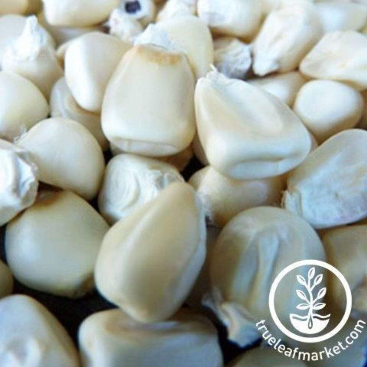 Truckers Favorite White Corn