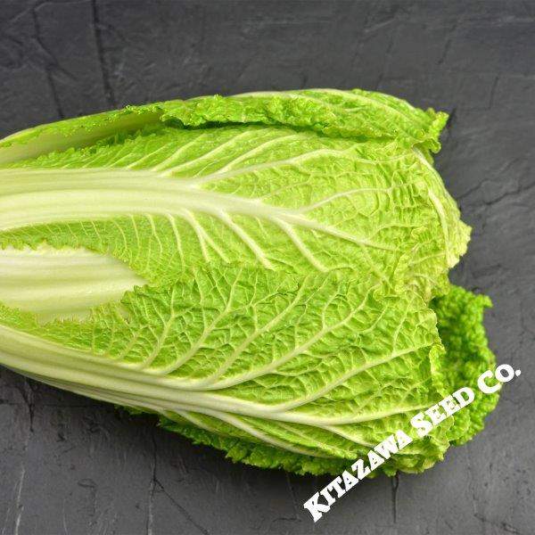Wr 70 Days Chinese Cabbage