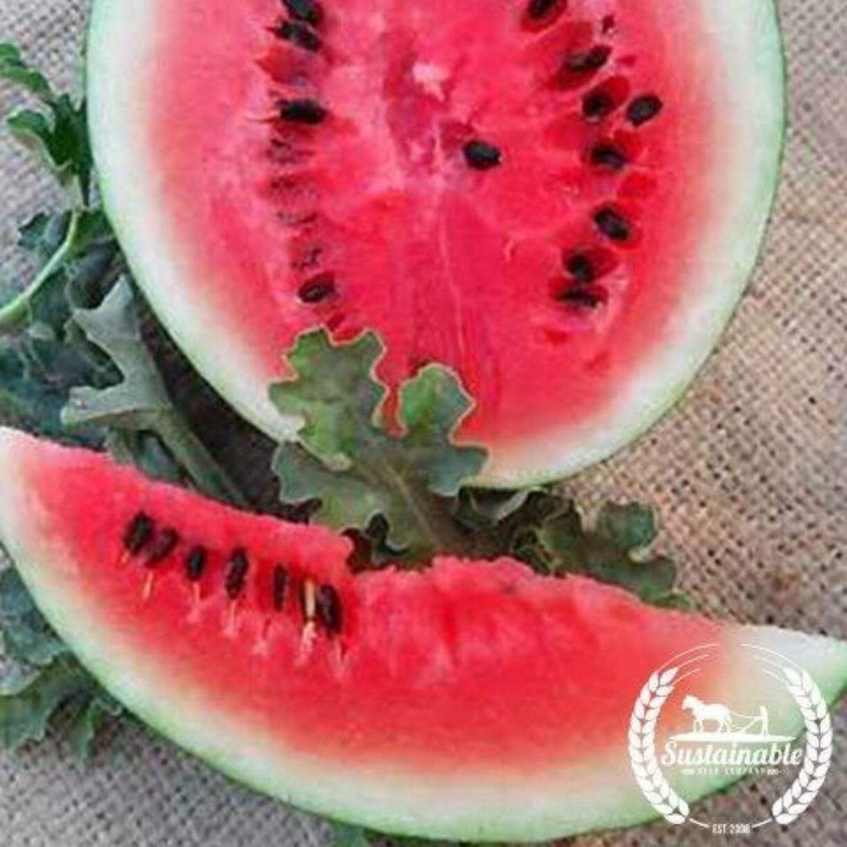 Bush Sugar Baby Watermelon