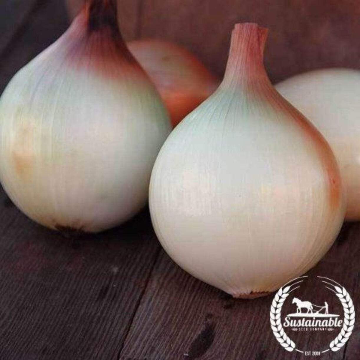 Walla Walla Onion