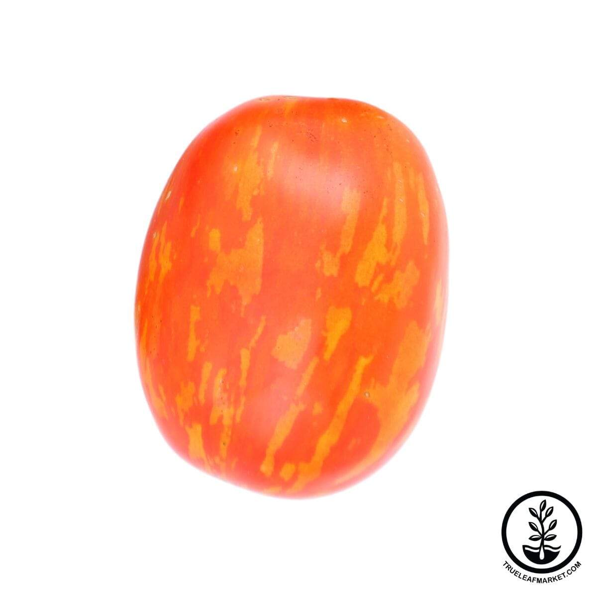 Striped Paste Tomato