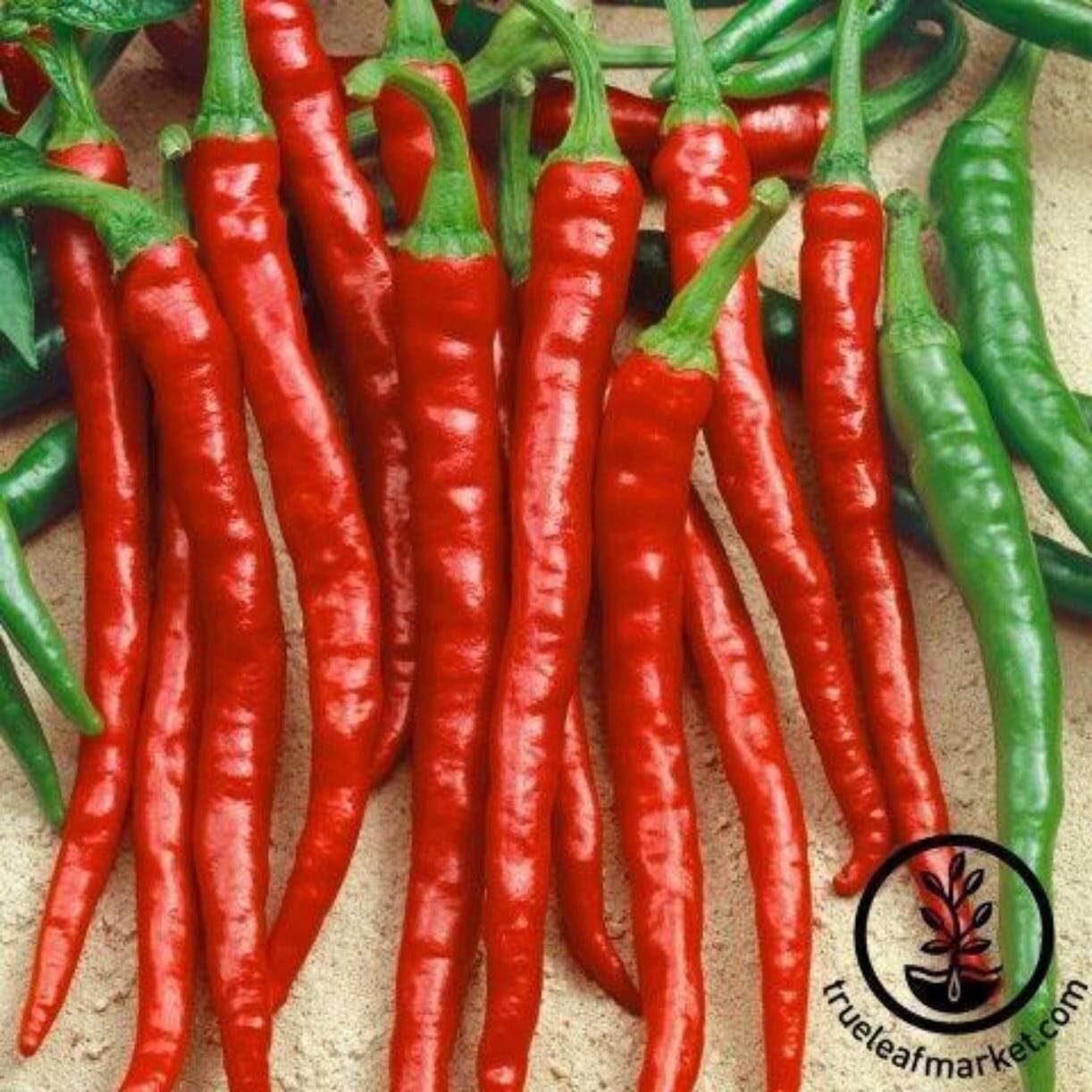 Sweet Cayenne Pepper