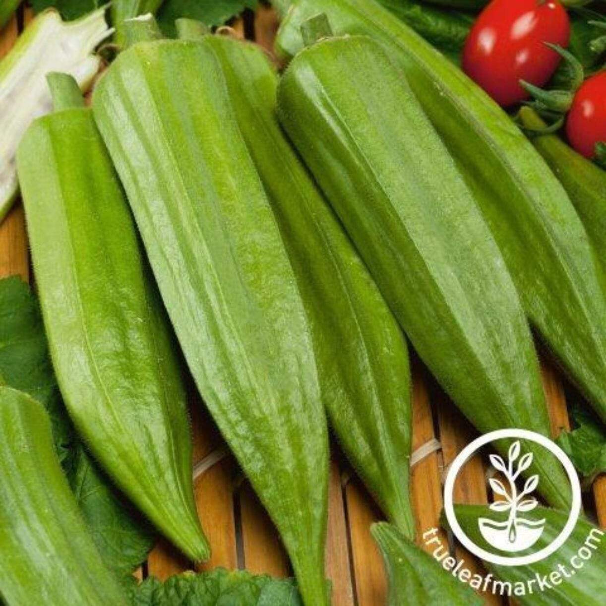 Star Of David Okra
