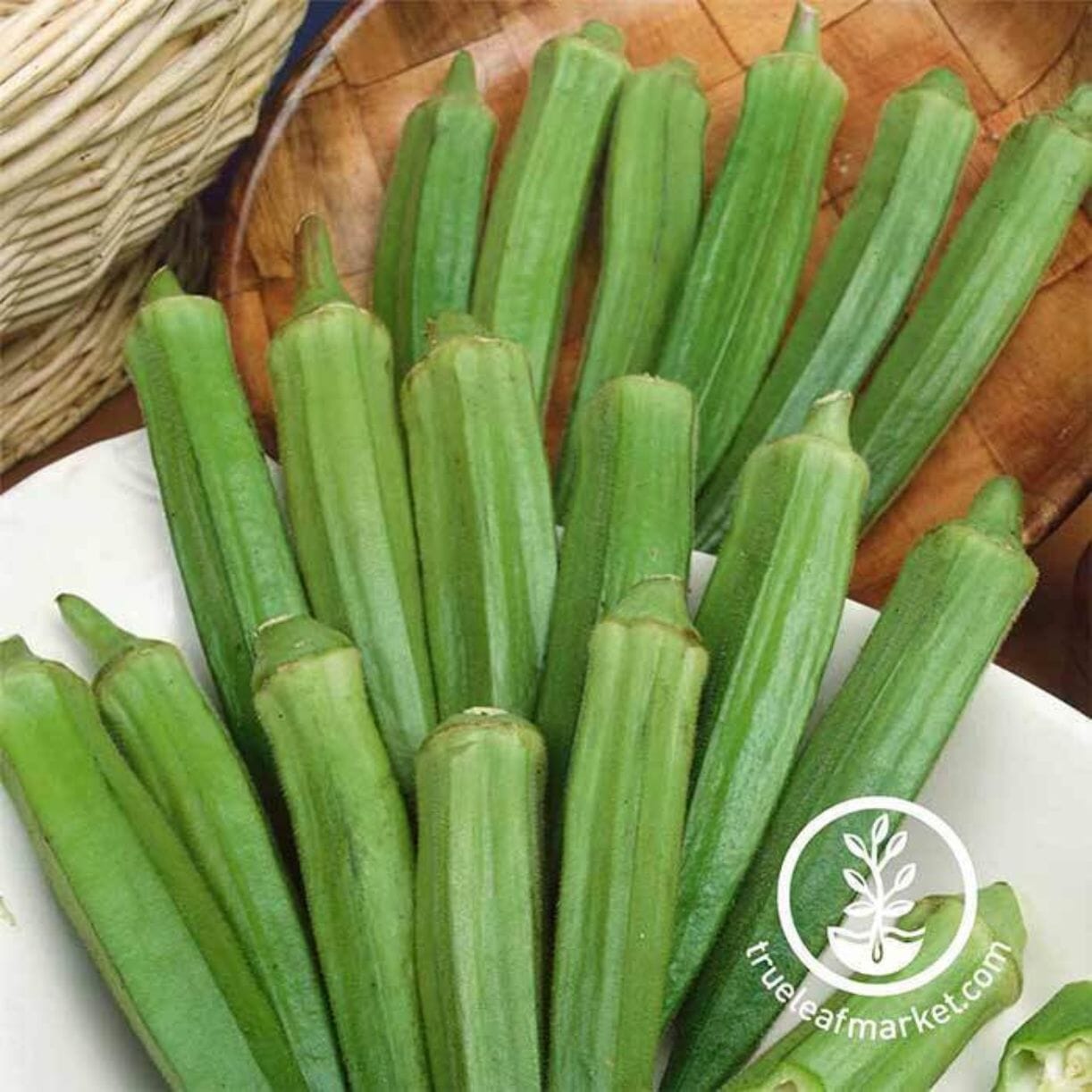 Clemson Spineless Okra