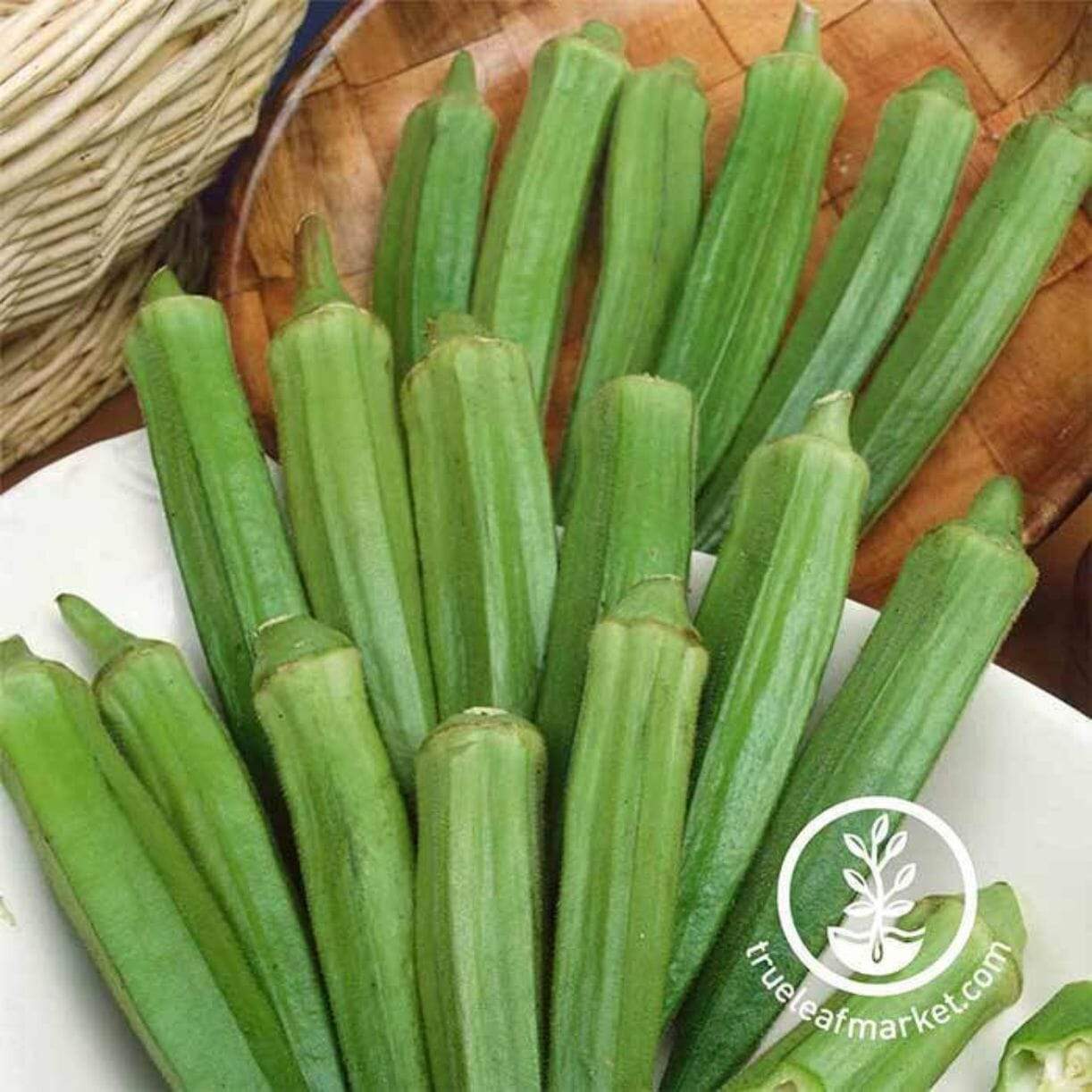 Clemson Spineless Okra