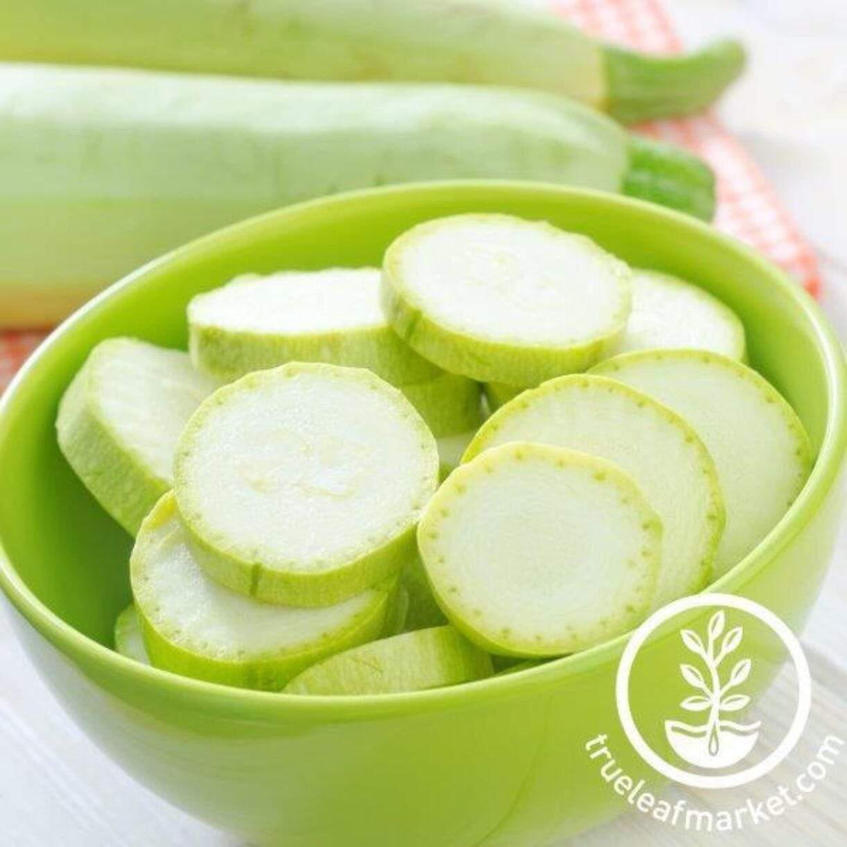 Bianco Lungo Cylindrico Zucchini Squash