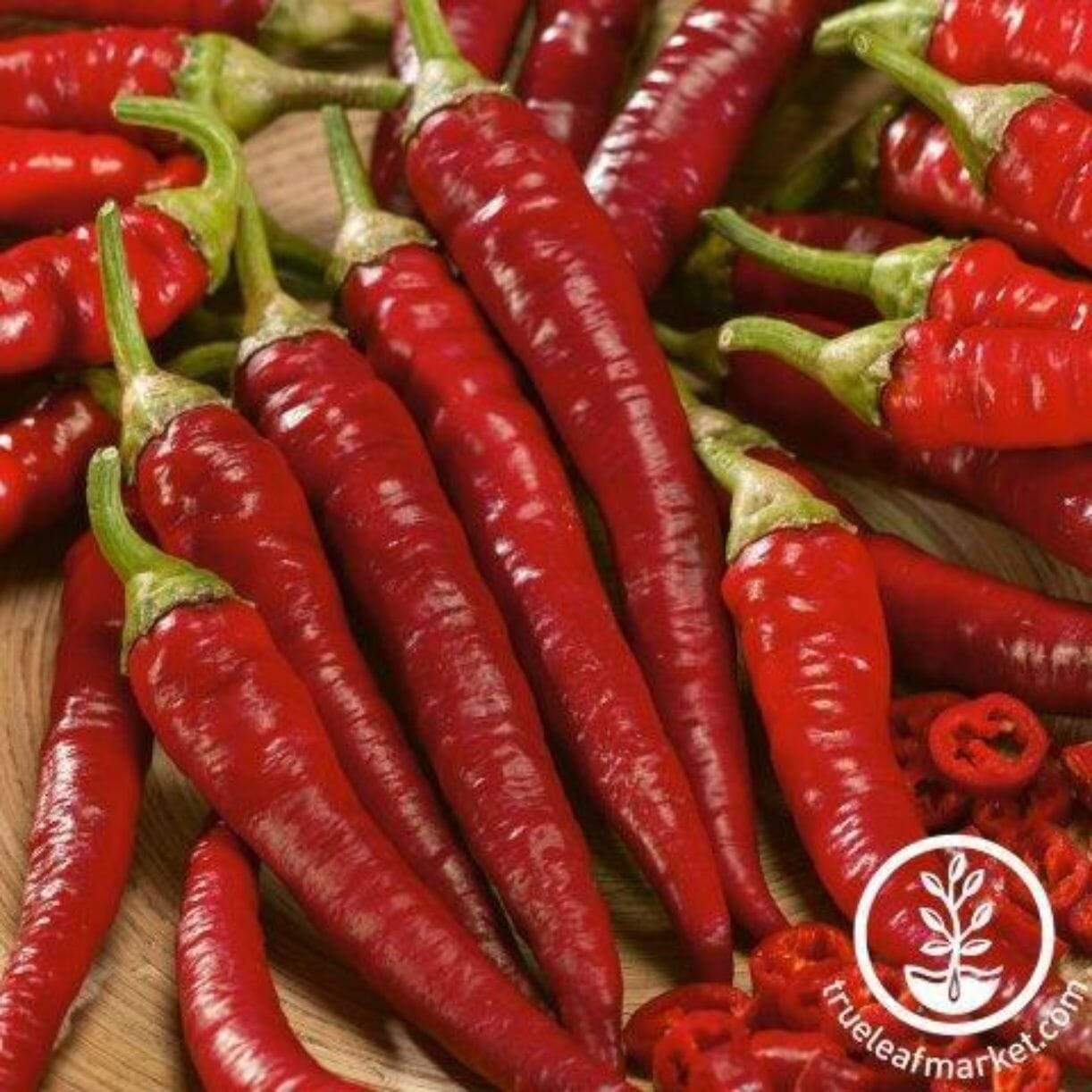Fuego Trail Pepper