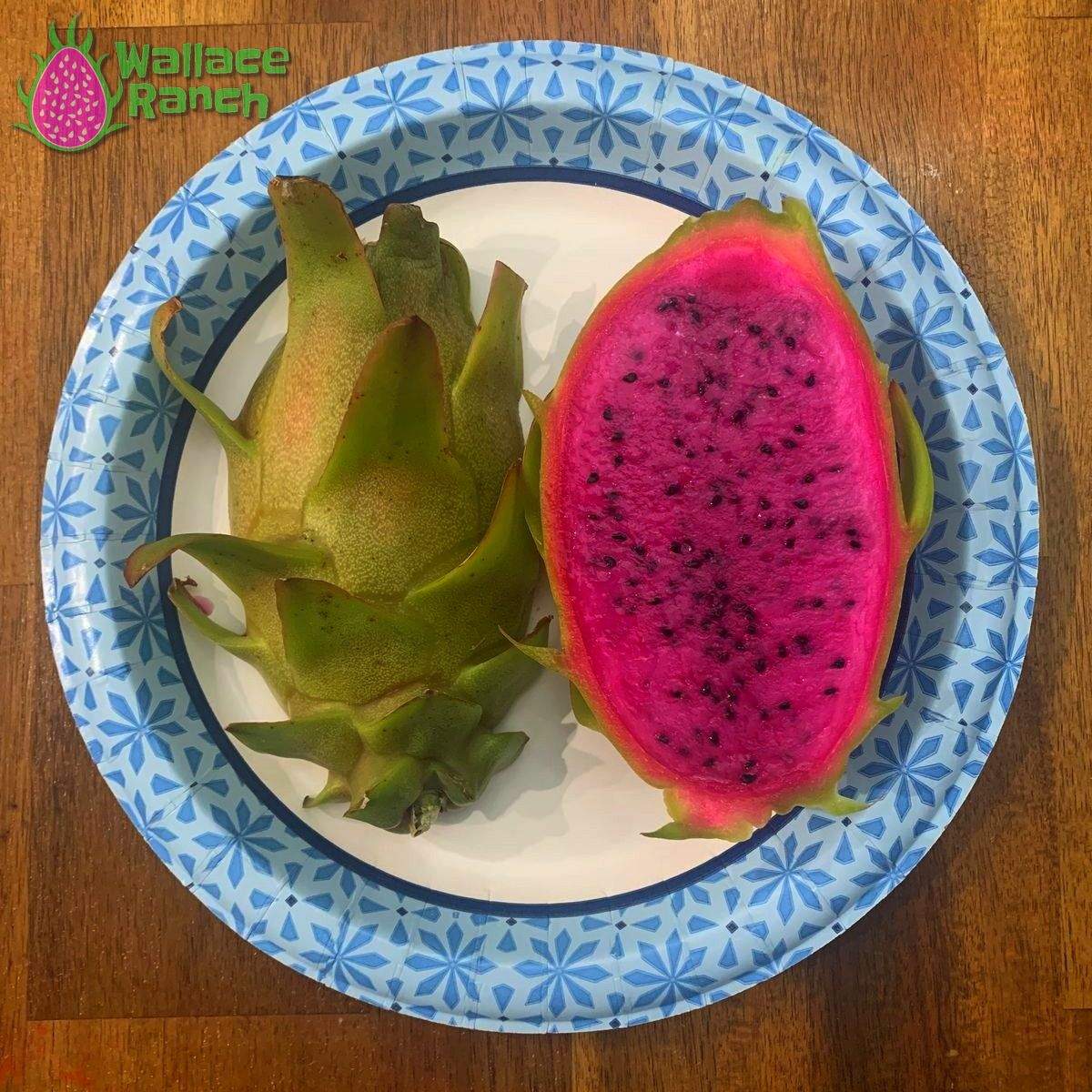 Wallace Ranch Bundle Dragonfruit (5)