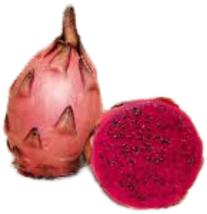 Tricia Dragonfruit (3)