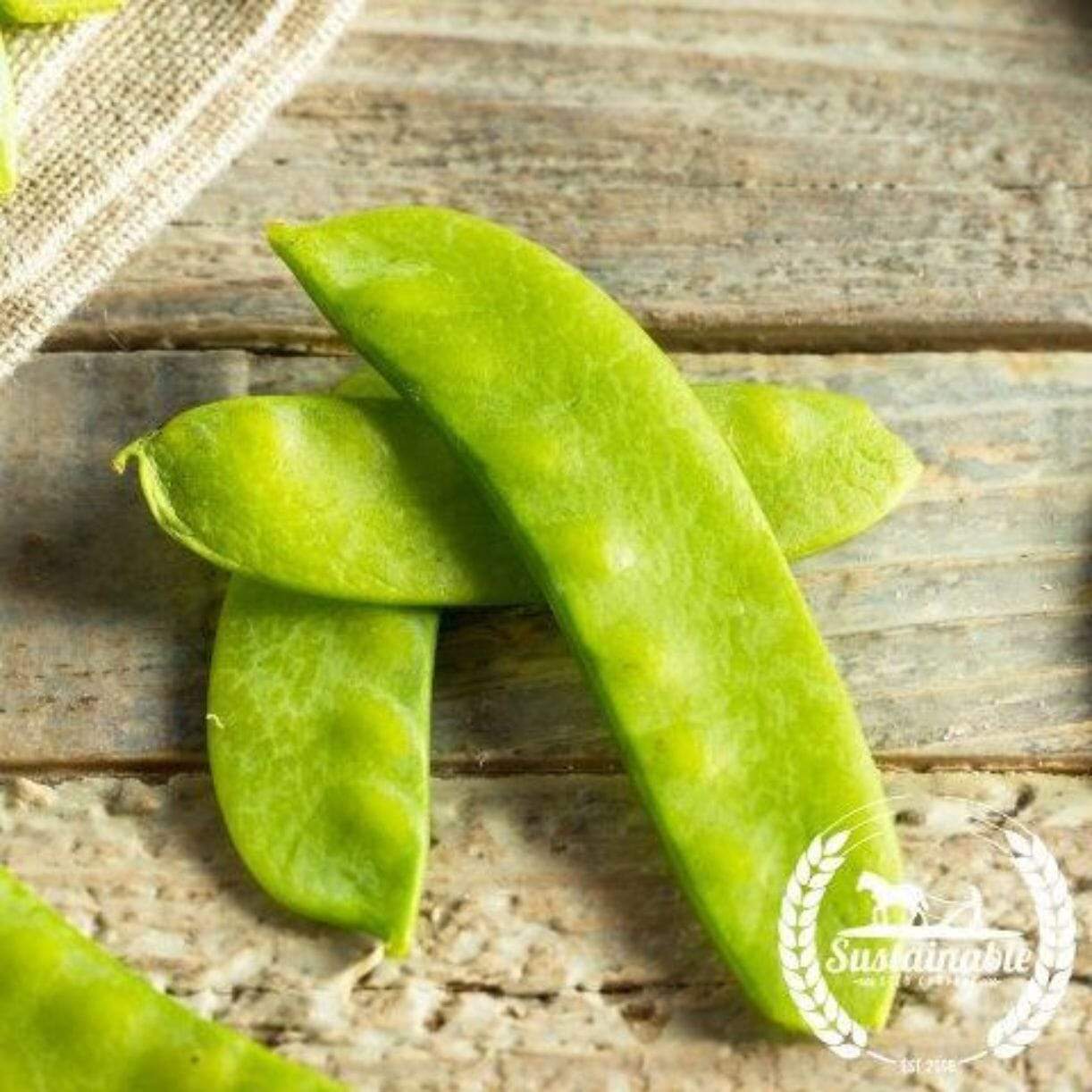 Yellow Sugar Pea