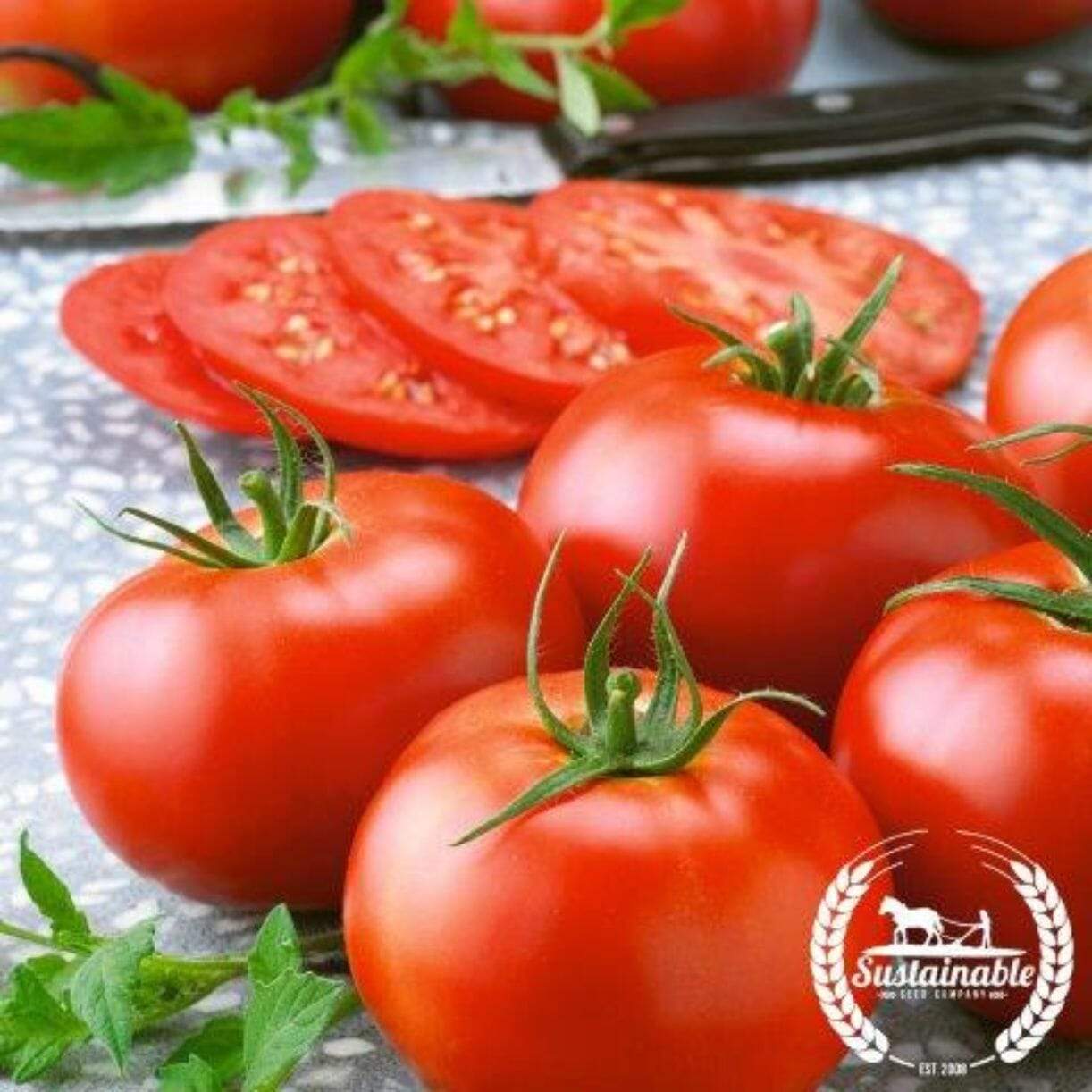 Dakota Sport Tomato