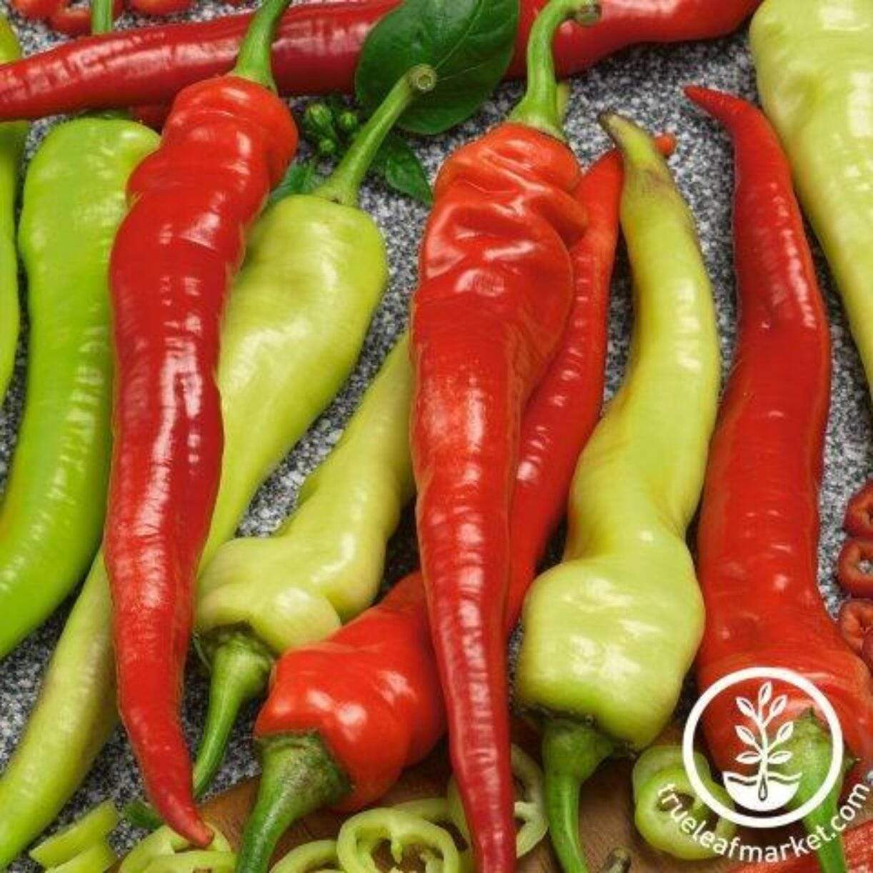 Cayenne Espana Pepper
