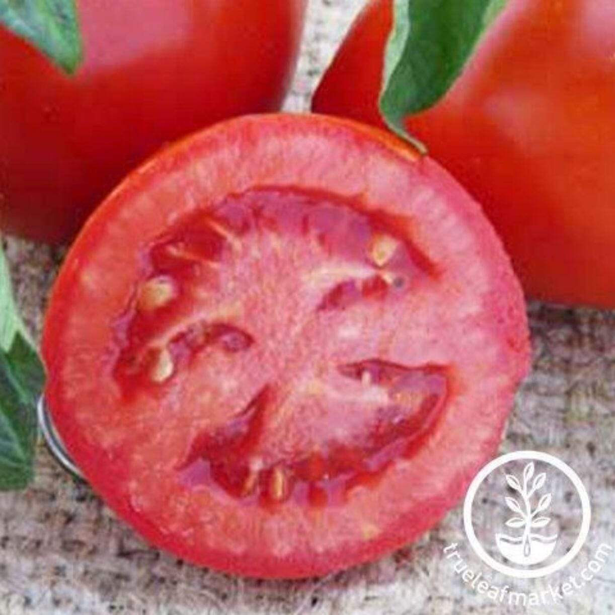 Long Keeper Tomato
