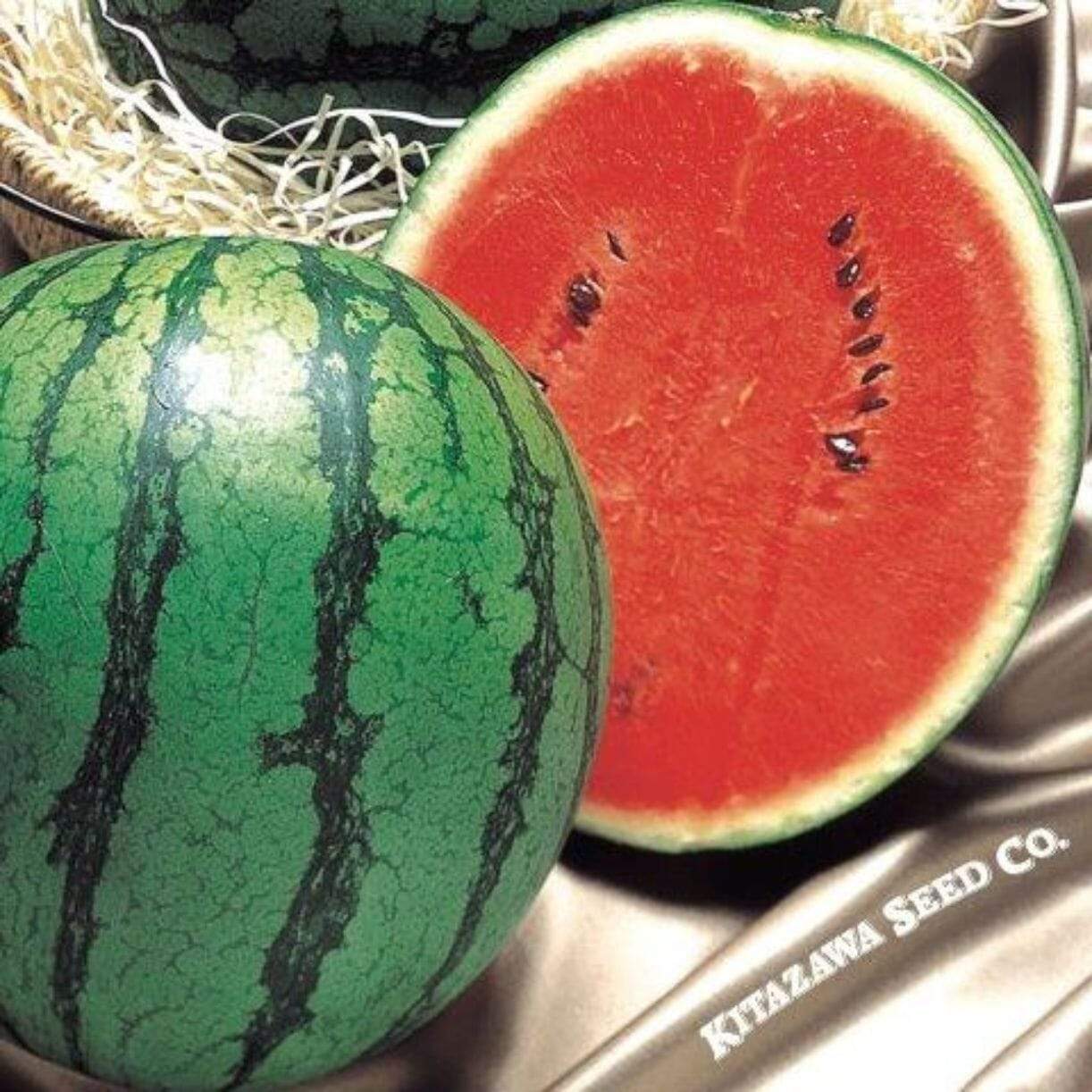 Hime Kansen Watermelon