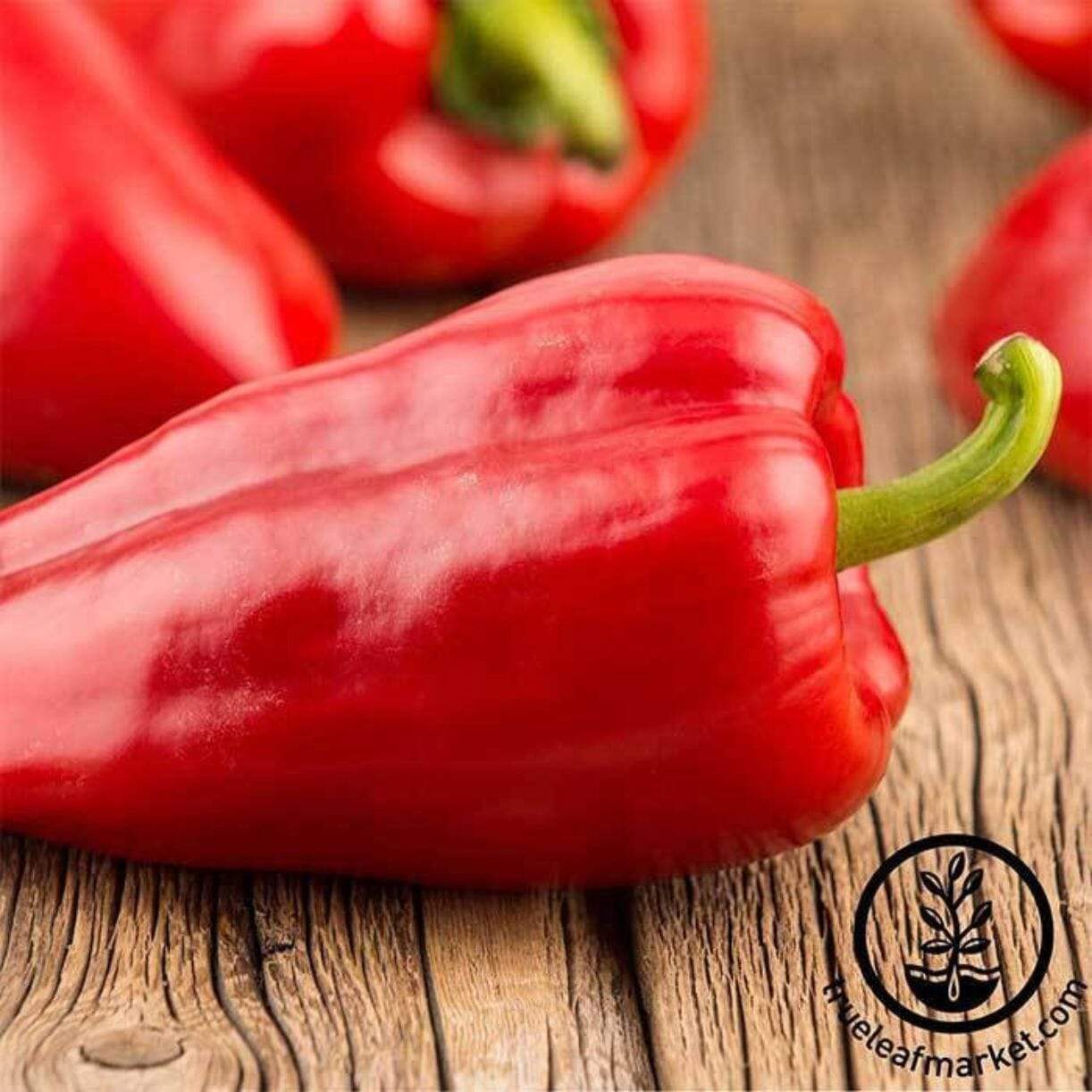 Mariachi Pepper