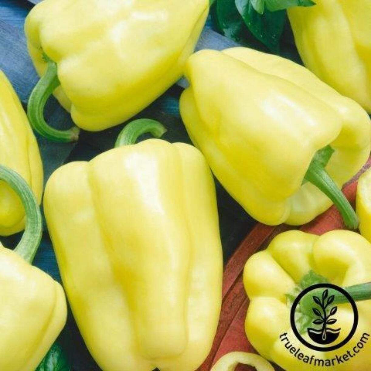 White Zinfandel Pepper