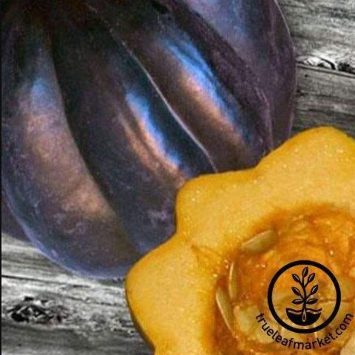 Ebony Acorn Squash