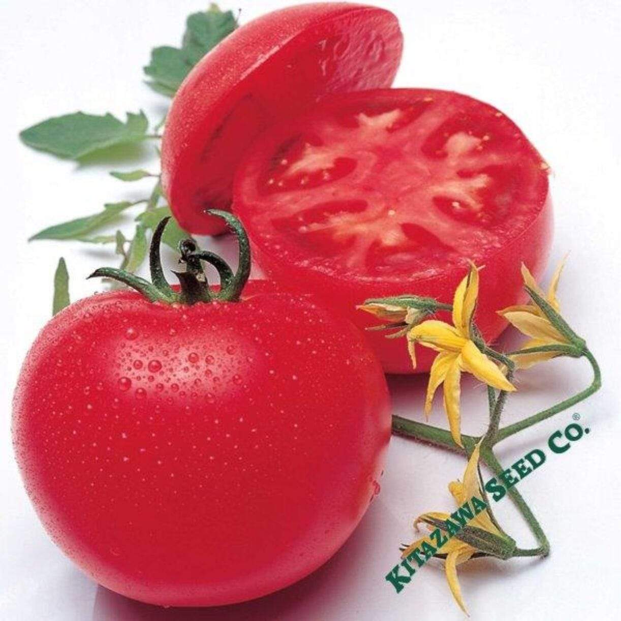 Momotaro Tough Boy Fight Tomato