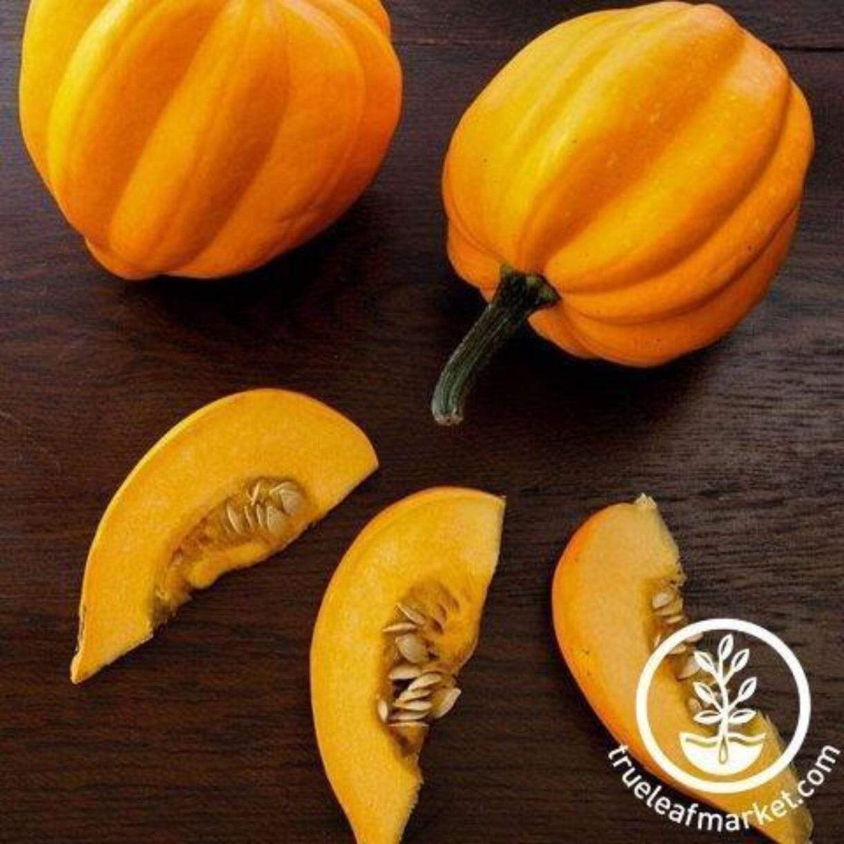 Table Gold Squash