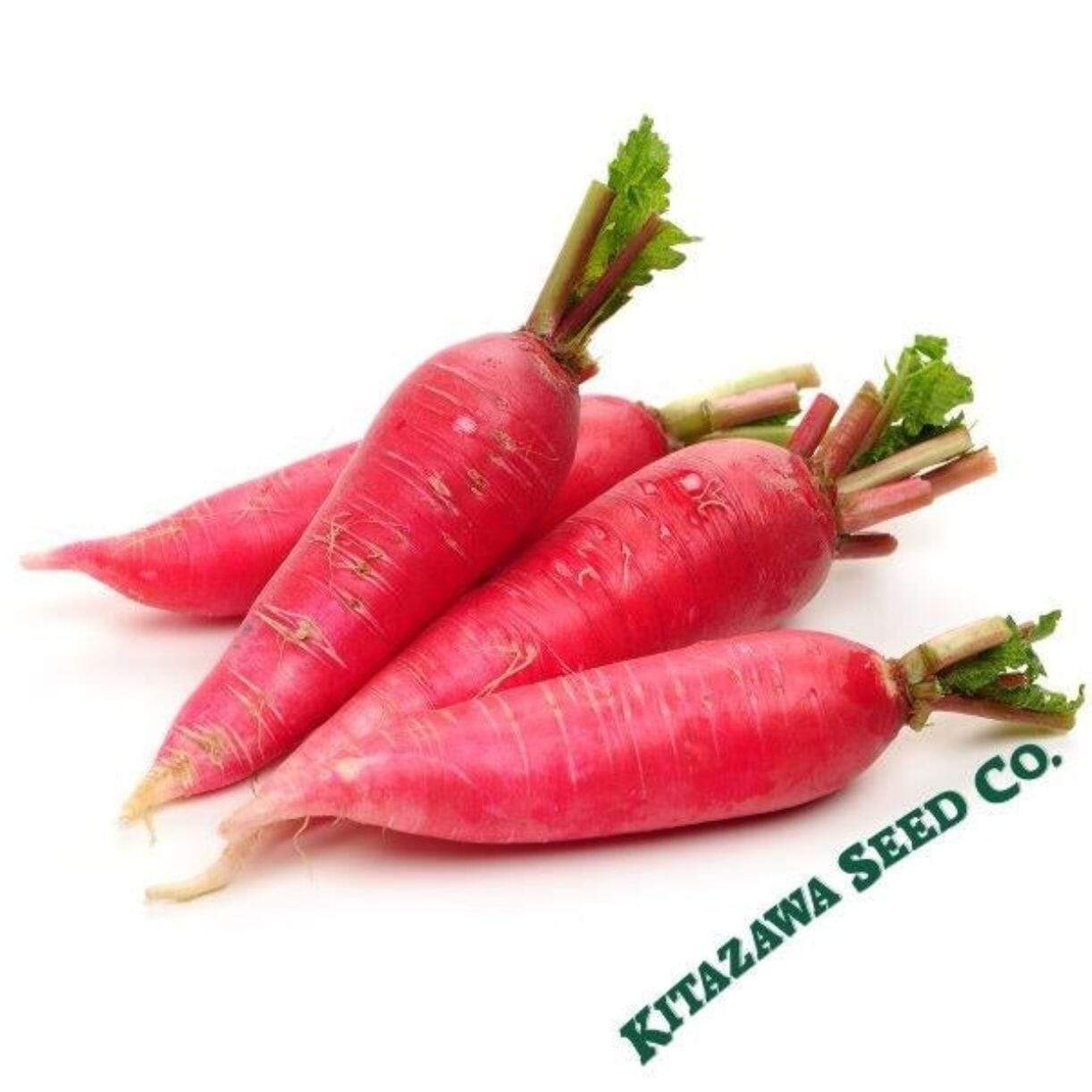 Shunkyo Radish