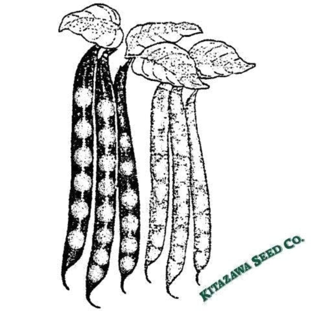 Akahana Mame Bean