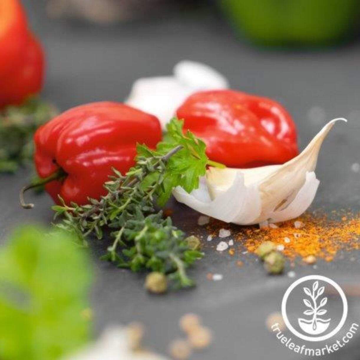 Cienfuegos Red Pepper