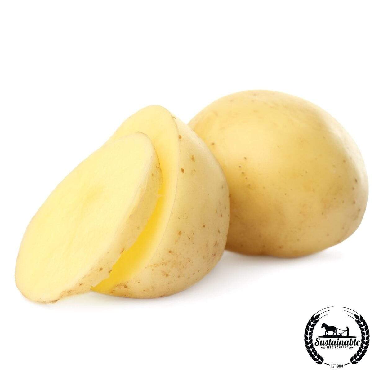 Potato Lamoka