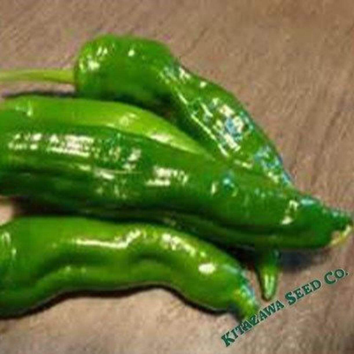 Manganji Pepper