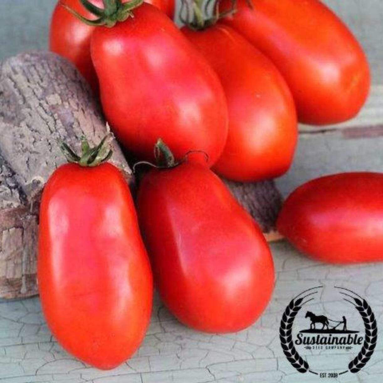 Hungarian Paste Tomato