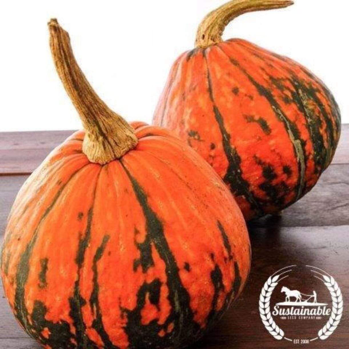 Lakota Squash