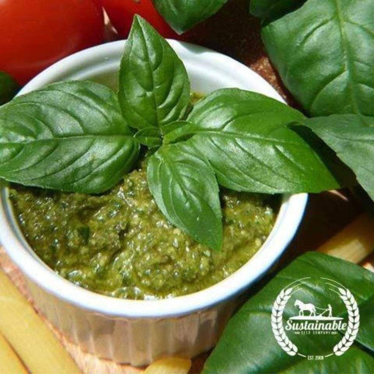 Italian Large Leaf Basil