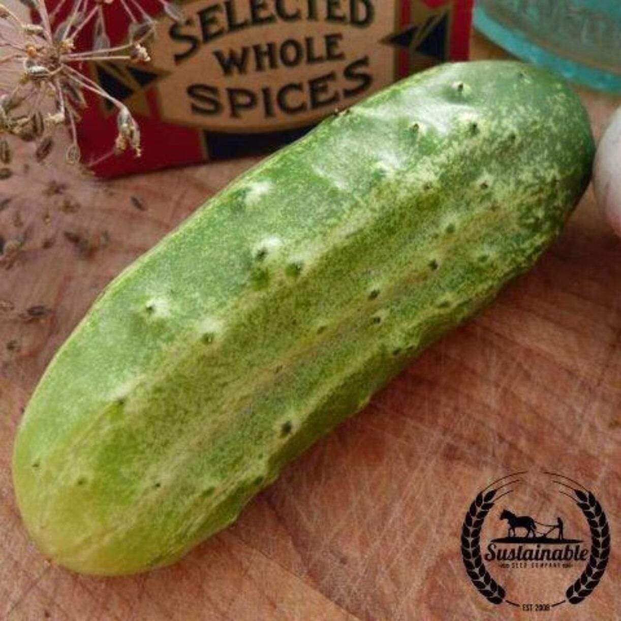 National Pickling Cucumber