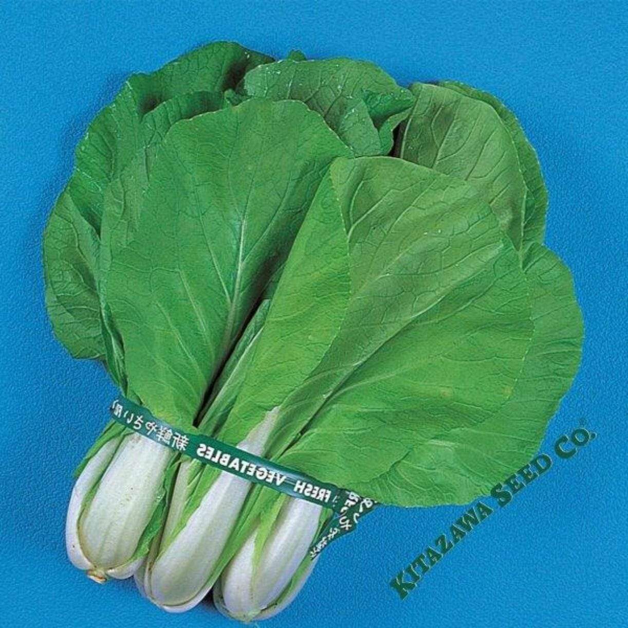 Maruba Santoh Round Chinese Cabbage