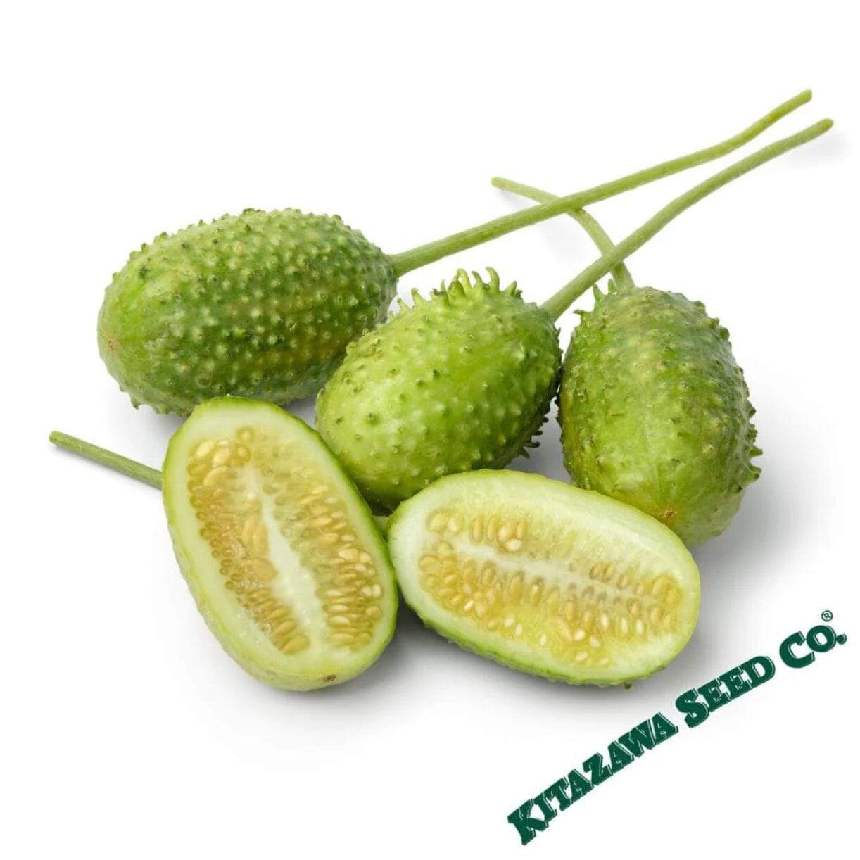 West Indian Gherkin Cucumber
