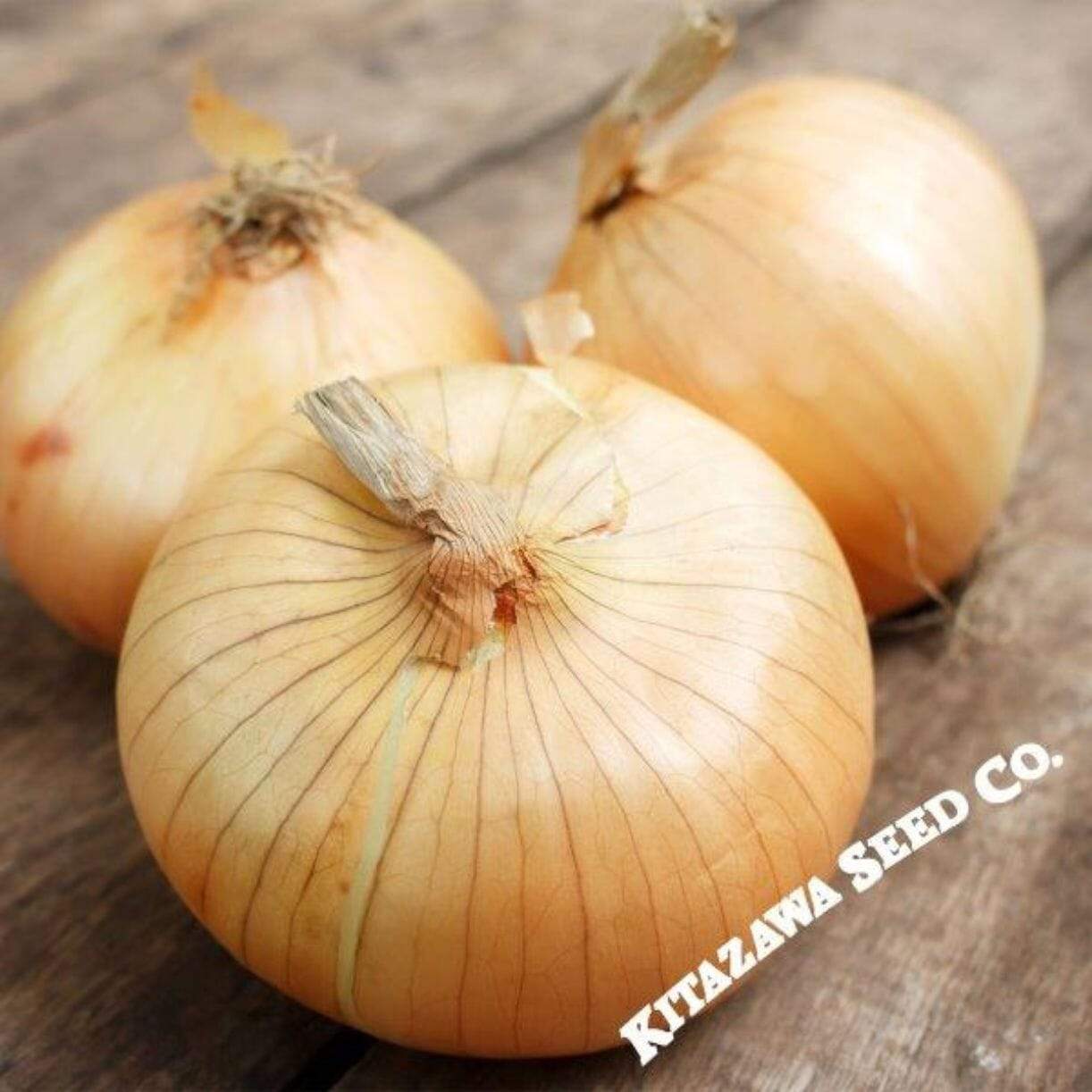 Imai Early Yellow Onion