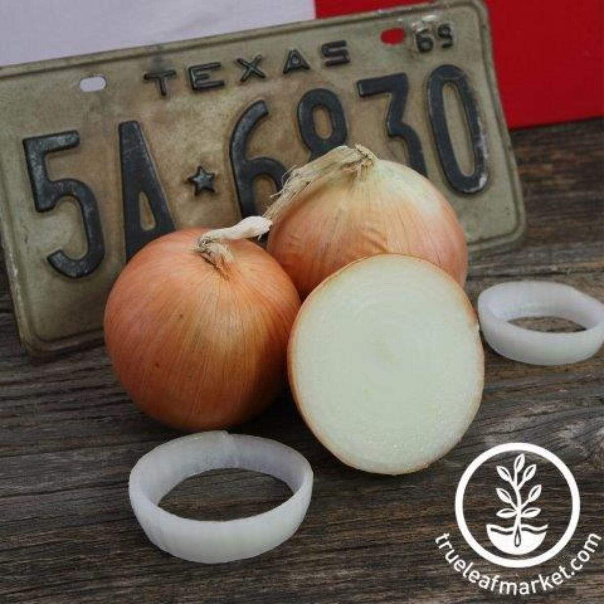 Texas 1015 Super Sweet Onion