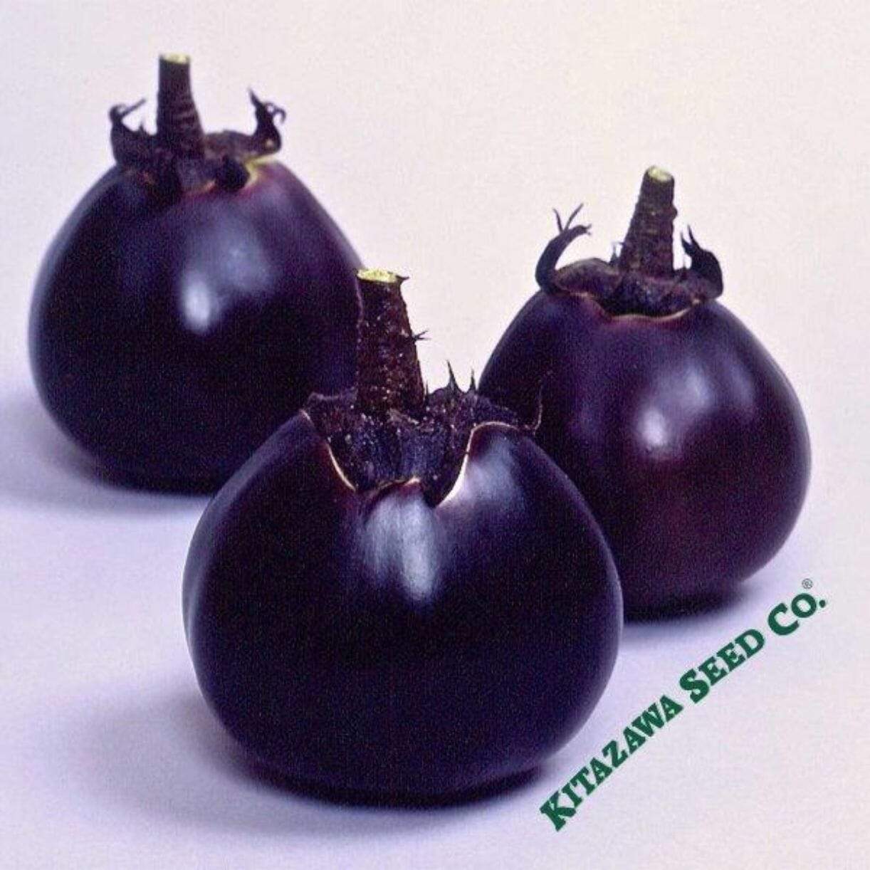 Kamo Eggplant