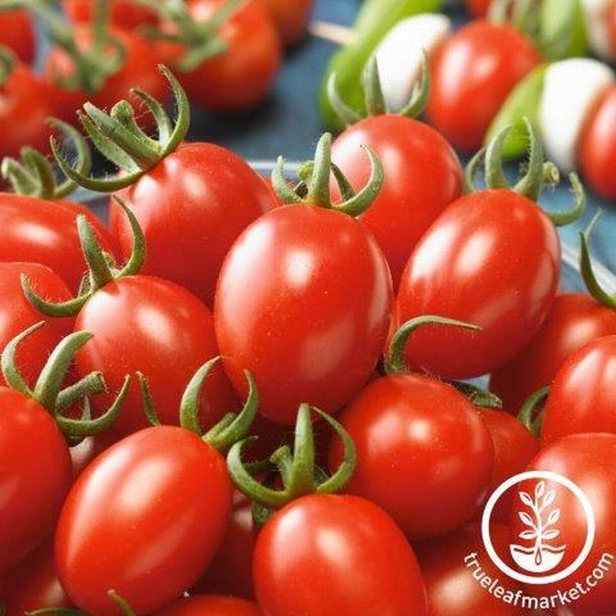 Sugar Fairy Tomato