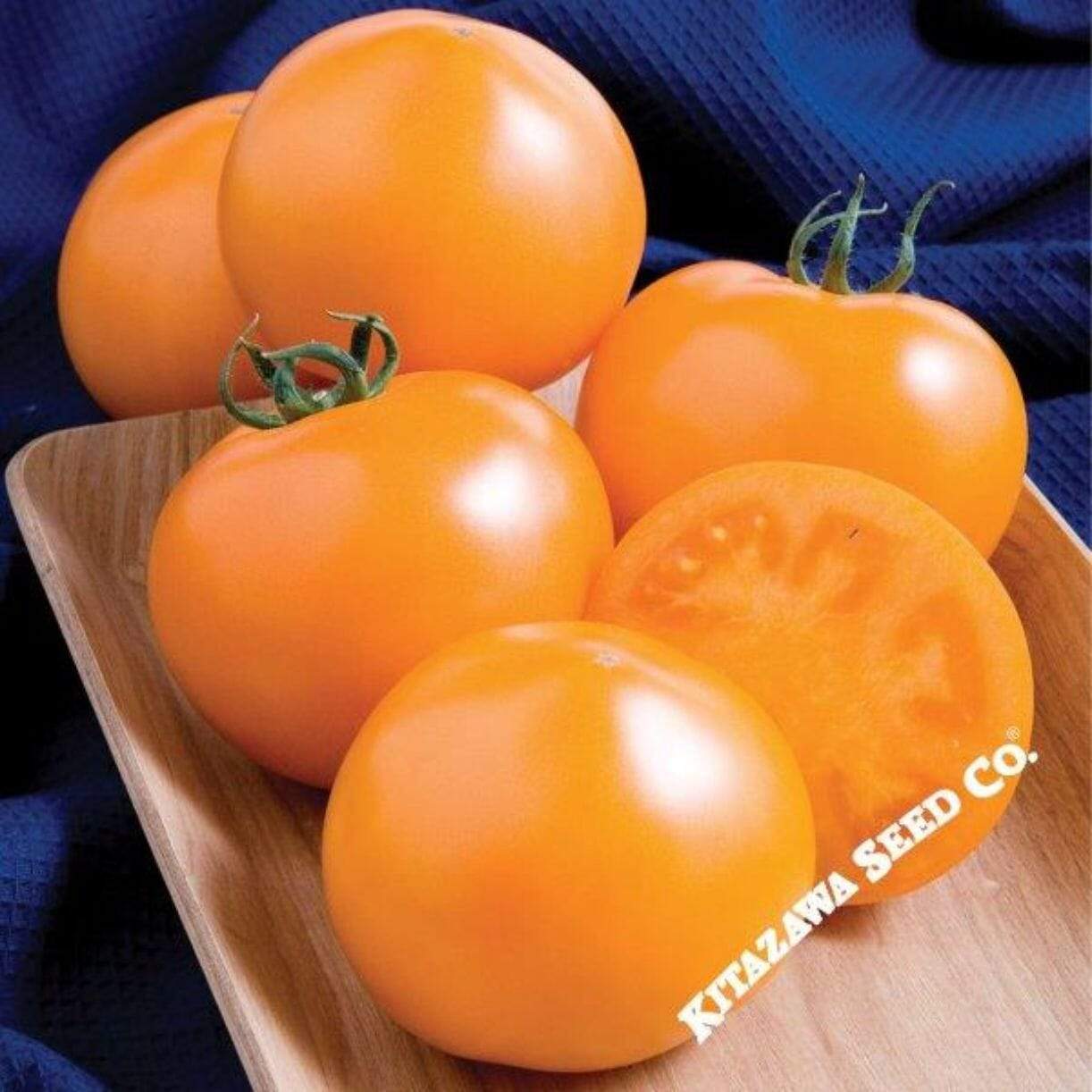 Momotaro Gold Tomato