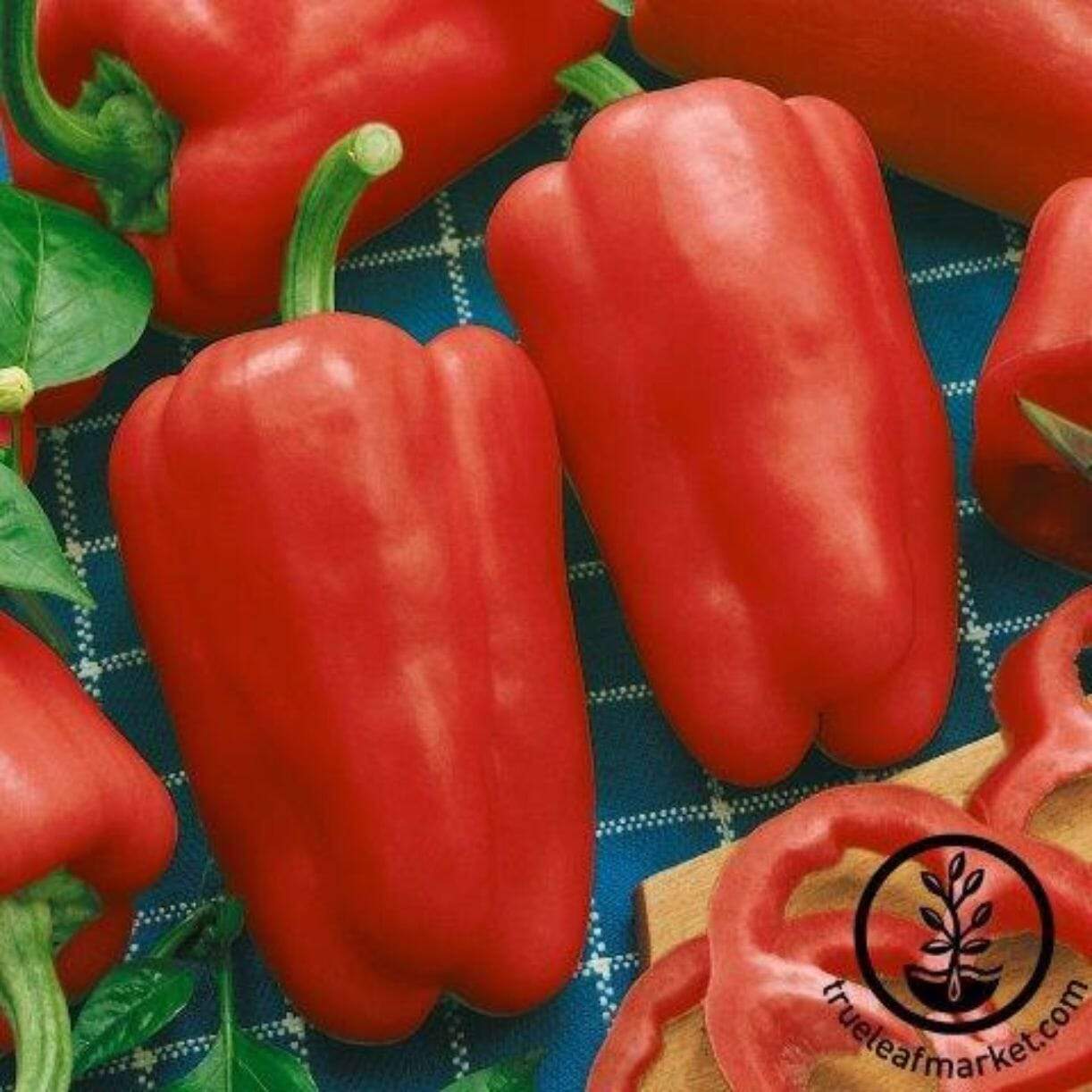 Cabernet Pepper
