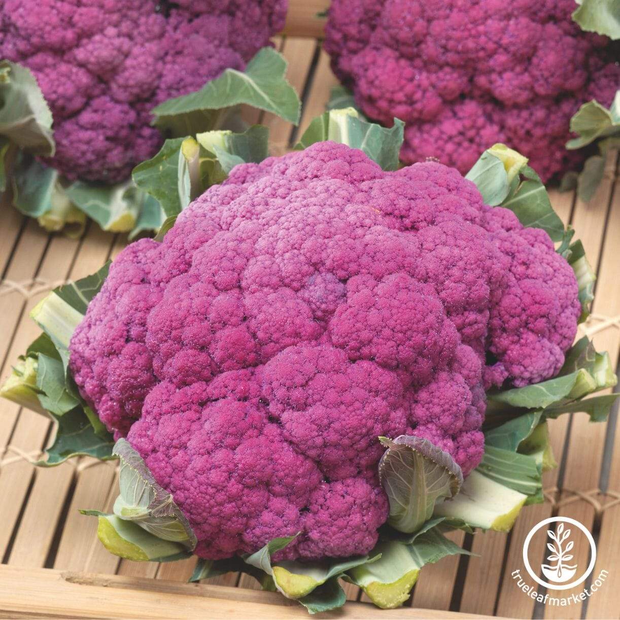 Purple Of Sicily Cauliflower