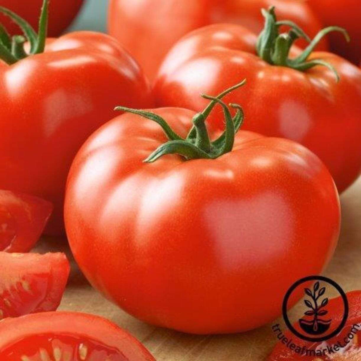 Brandymaster Red Tomato