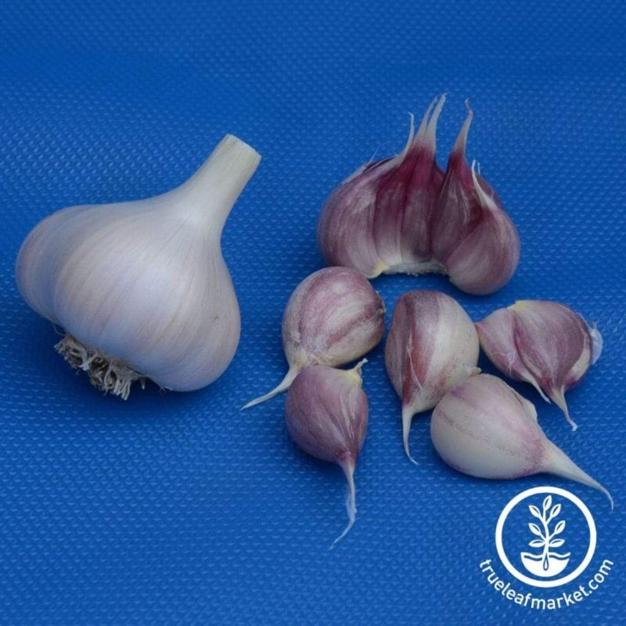 Duganski Garlic