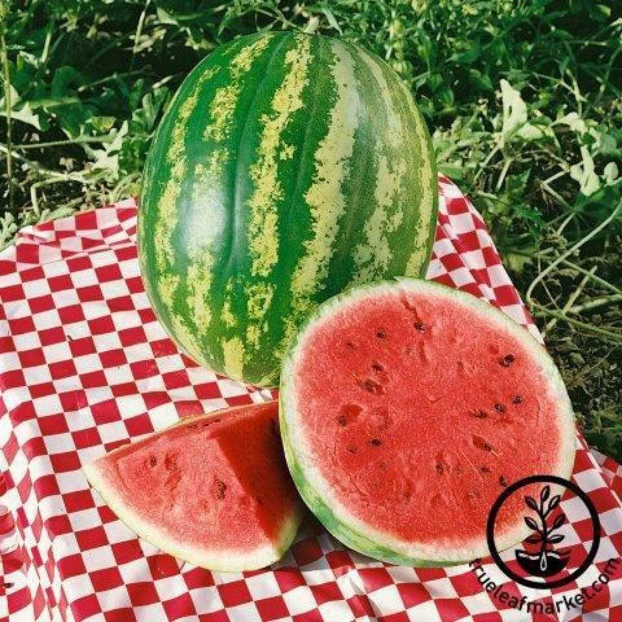 Imperial Watermelon