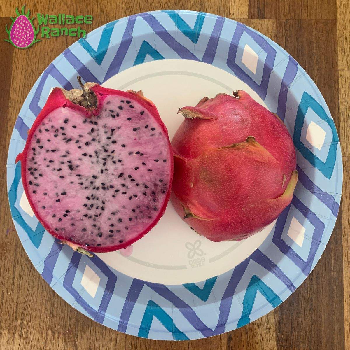Delight 3-s Dragonfruit (1)