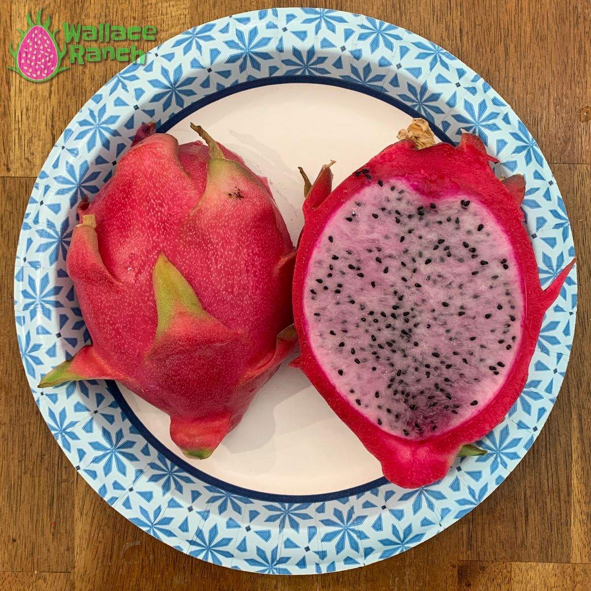 Delight 3-s Dragonfruit (2)