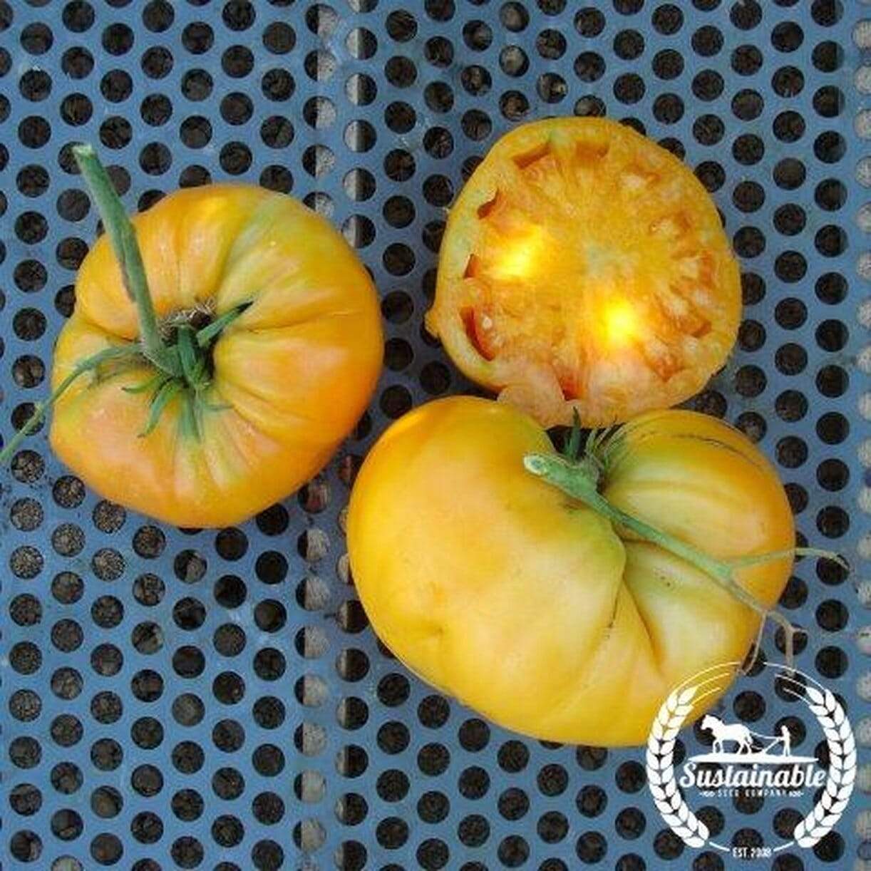 Kellogg's Beefsteak Tomato