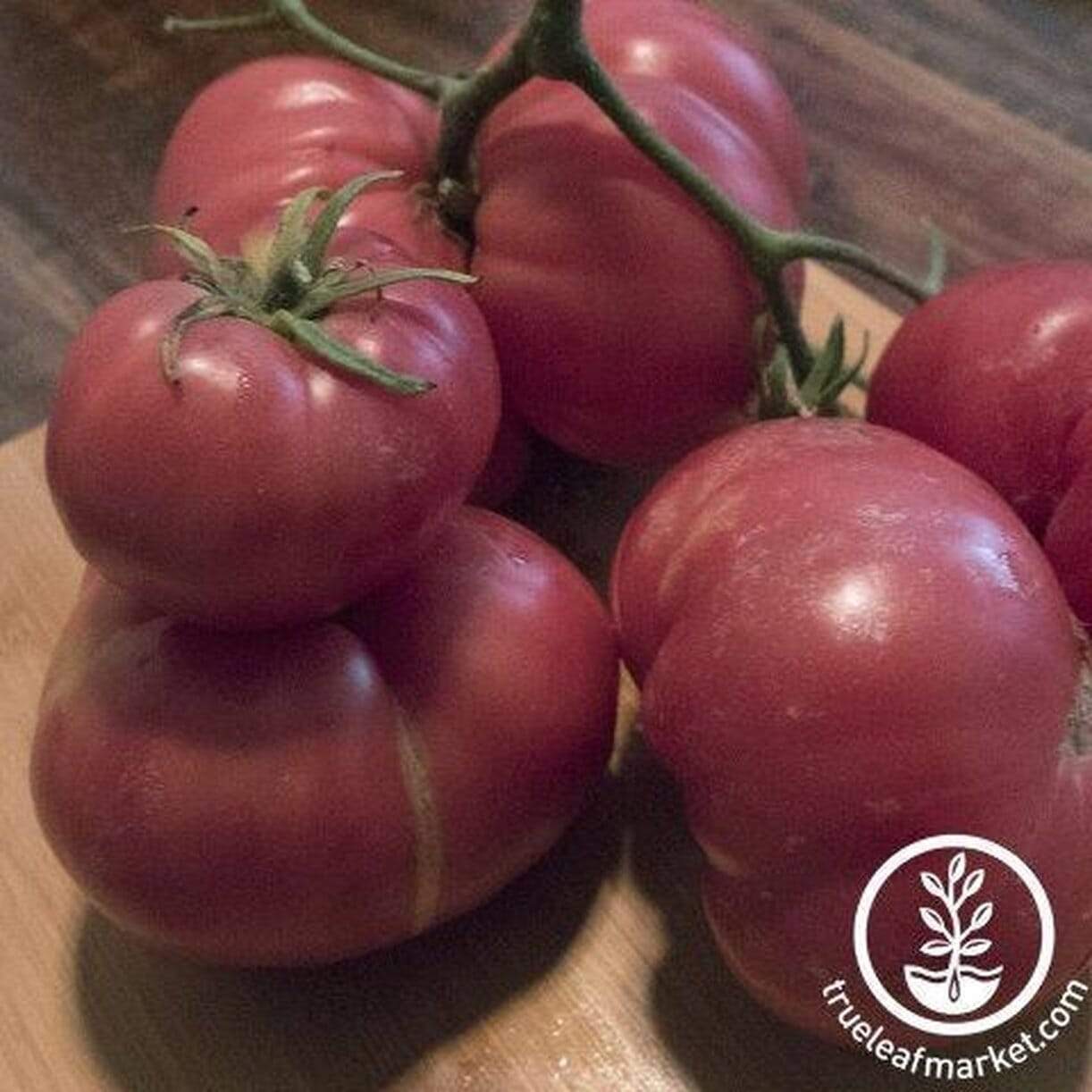 Containers Choice Pink Tomato