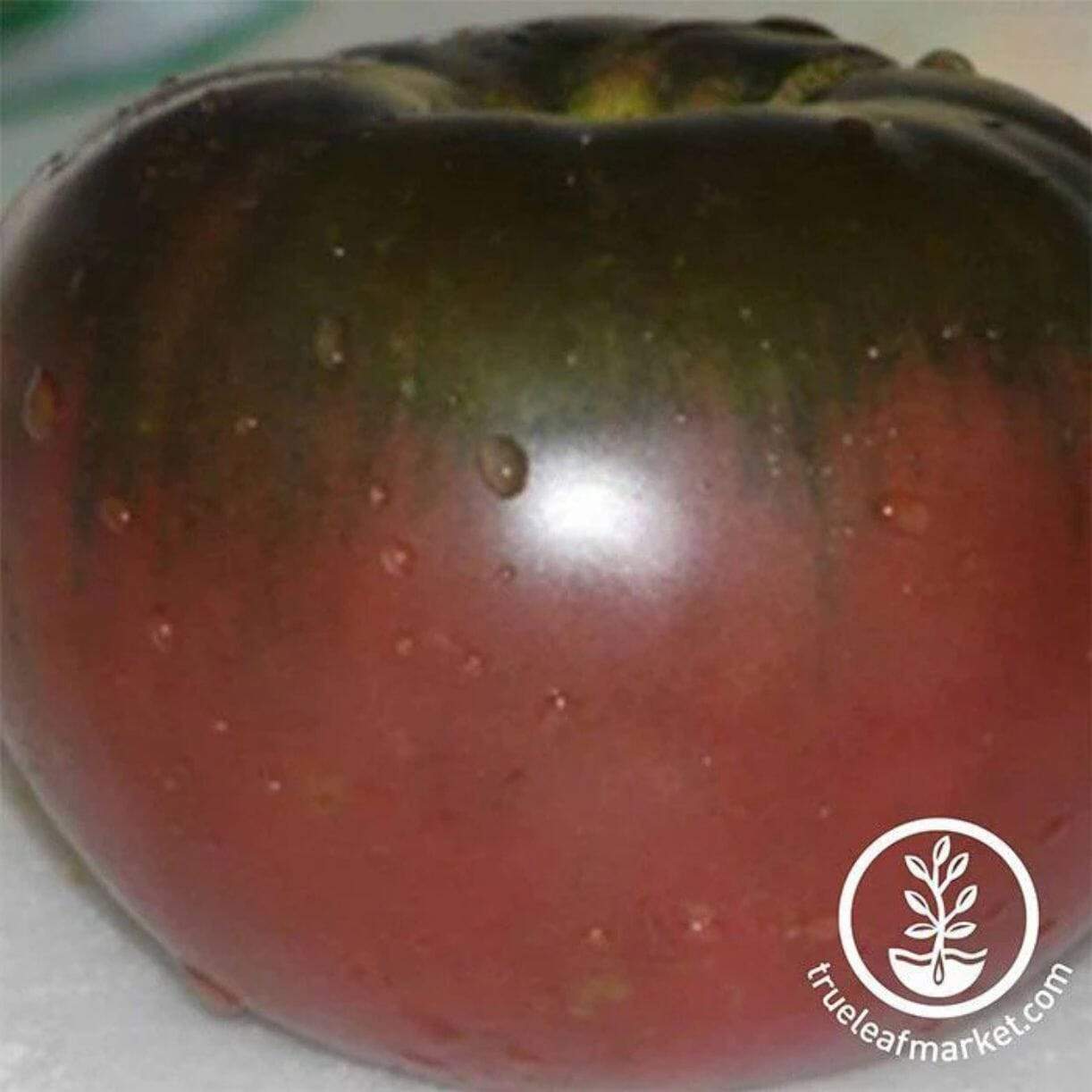 Black From Tula Tomato