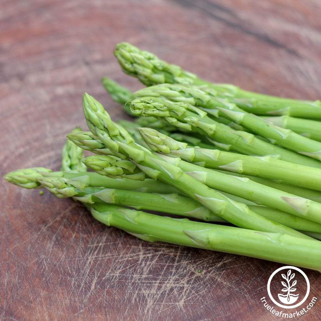 Millenium Asparagus